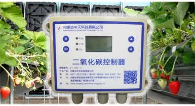 中國(guó)北方CO?新技術(shù)，將促進(jìn)農(nóng)作物光合作用和光合產(chǎn)物的生成